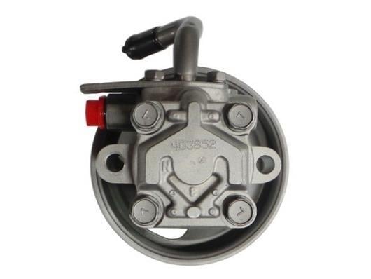 Pompe de direction assistée (Servo direction) GKN 54435
