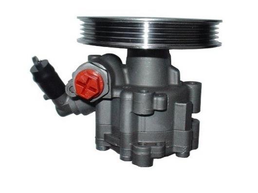 Pompe de direction assistée (Servo direction) GKN 54439