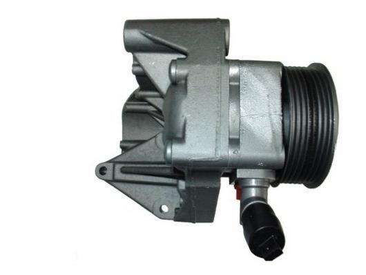 Pompe de direction assistée (Servo direction) GKN 54448