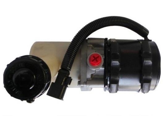 Bomba de direção assistida GKN ref. 54570