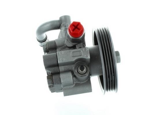 Pompe de direction assistée (Servo direction) GKN ref. 54578