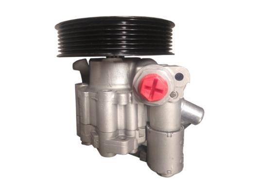 Pompe de direction assistée (Servo direction) GKN 54781