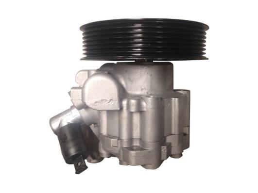 Pompe de direction assistée (Servo direction) GKN 54781