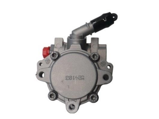 Pompe de direction assistée (Servo direction) GKN 54791