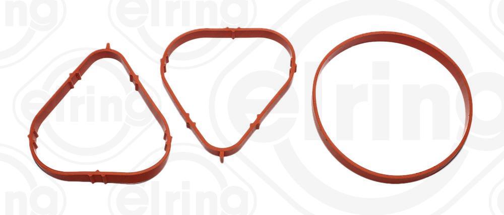 Conjunto de vedantes, coletor de admissão ELRING ref. 008.170