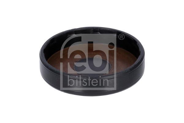 Bouchon, axe de culbuteurs-nez fileté FEBI BILSTEIN ref. 23204