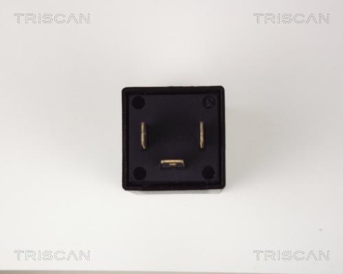 Relé intermitentes Triscan A/S ref. 1010 EP31