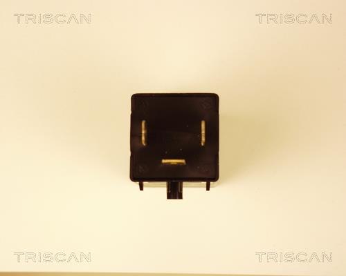 Centrale clignotante Triscan A/S 1010 EP34