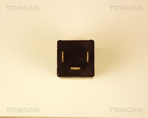 Relé intermitentes Triscan A/S ref. 1010 EP35