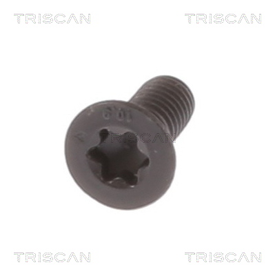Boulon, étrier de frein Triscan A/S ref. 8105 11667