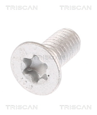 Parafusos de estribo de travão Triscan A/S ref. 8105 11671