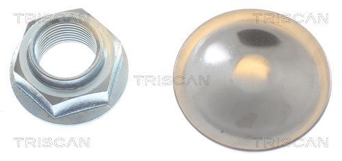 Discos de travão Triscan A/S ref. 8120 101124C