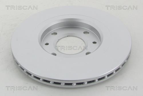 Discos de freno Triscan A/S ref. 8120 10113C