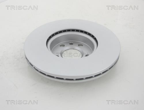 Discos de freno Triscan A/S ref. 8120 10173C
