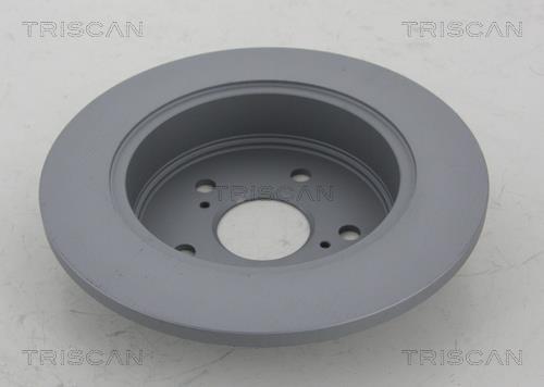 Disques de frein Triscan A/S ref. 8120 131008C