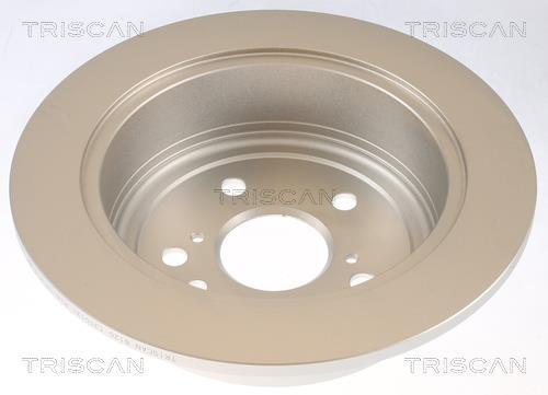 Disques de frein Triscan A/S ref. 8120 131013C