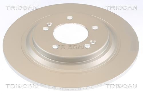 Disques de frein Triscan A/S ref. 8120 43184C