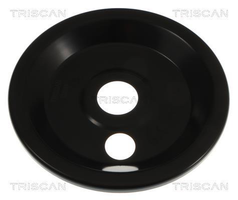 Déflecteur, disque de frein Triscan A/S ref. 8125 23122