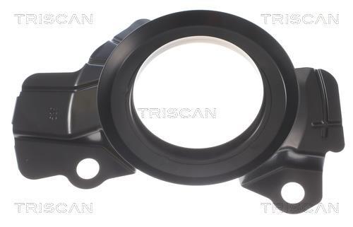 Déflecteur, disque de frein Triscan A/S ref. 8125 43112