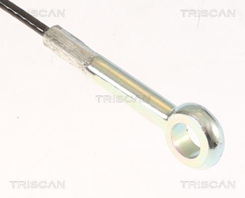 Cabo de freio de estacionamento Triscan A/S ref. 8140 131347