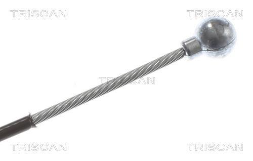 Cabo de freio de estacionamento Triscan A/S ref. 8140 231166