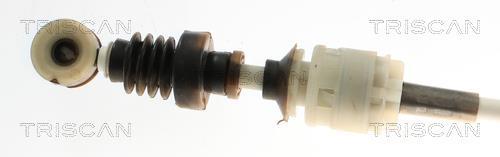 Cable para caja de cambios manual Triscan A/S ref. 8140 23716