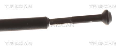 Tirette de capot moteur Triscan A/S ref. 8140 24602