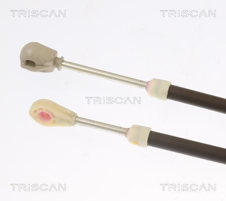 Cable para caja de cambios manual Triscan A/S ref. 8140 28739