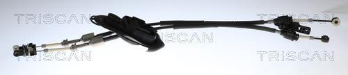 Cabo de caixa de velocidades Triscan A/S ref. 8140 28753