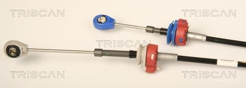 Cable para caja de cambios manual Triscan A/S ref. 8140 38703