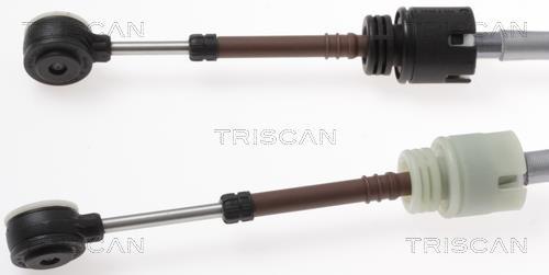 Cable para caja de cambios manual Triscan A/S ref. 8140 38707