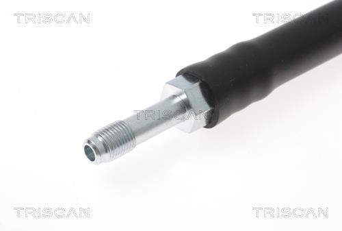 Flexible de frein (Durite de frein) Triscan A/S 8150 10119