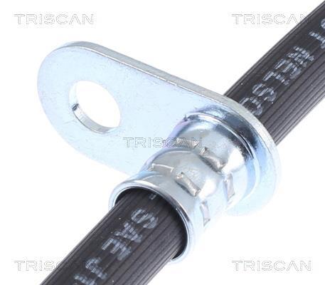 Flexible de frein (Durite de frein) Triscan A/S 8150 10139
