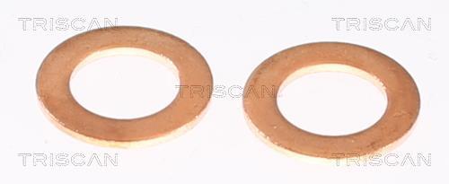 Flexible de frein (Durite de frein) Triscan A/S ref. 8150 10145