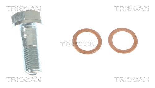 Flexible de frein (Durite de frein) Triscan A/S ref. 8150 10146