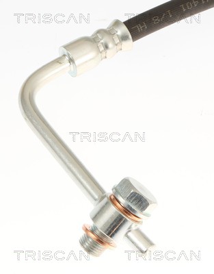Flexível de travão Triscan A/S 8150 10147