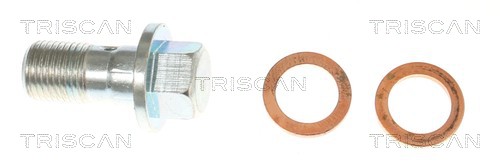 Flexible de frein (Durite de frein) Triscan A/S 8150 10238