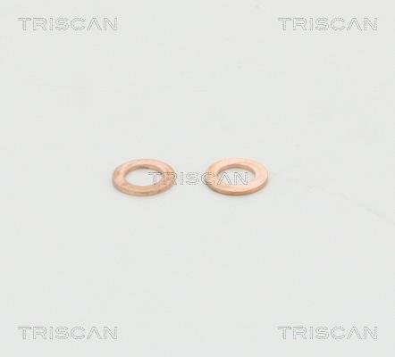 Flexible de frein (Durite de frein) Triscan A/S 8150 11105