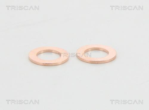 Flexible de frein (Durite de frein) Triscan A/S 8150 11214