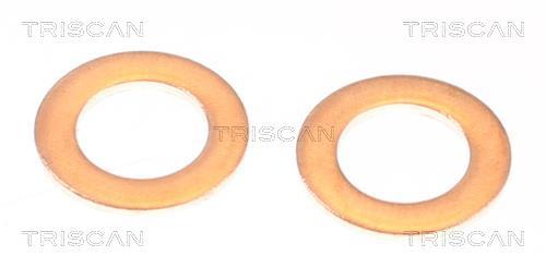Flexible de frein (Durite de frein) Triscan A/S 8150 131006
