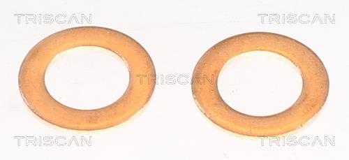 Flexible de frein (Durite de frein) Triscan A/S 8150 131009