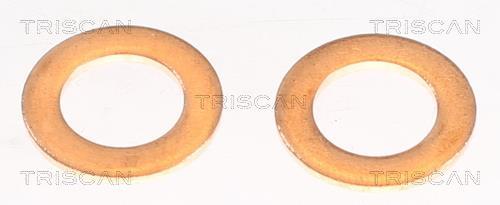 Flexible de frein (Durite de frein) Triscan A/S 8150 131011