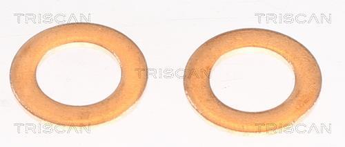 Flexible de frein (Durite de frein) Triscan A/S 8150 132024