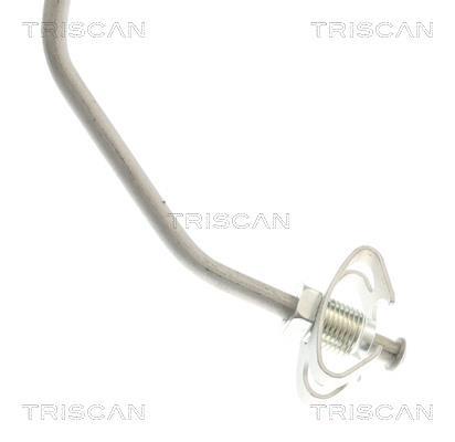 Flexible de frein (Durite de frein) Triscan A/S 8150 132027