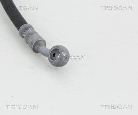 Flexible de frein (Durite de frein) Triscan A/S 8150 14108