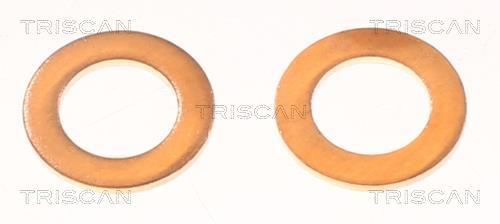 Flexible de frein (Durite de frein) Triscan A/S ref. 8150 14115