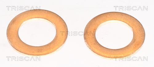 Flexible de frein (Durite de frein) Triscan A/S ref. 8150 14186