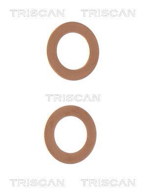 Flexible de frein (Durite de frein) Triscan A/S ref. 8150 142128
