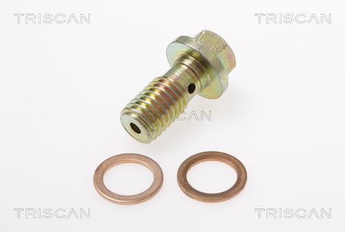 Flexible de frein (Durite de frein) Triscan A/S 8150 16307