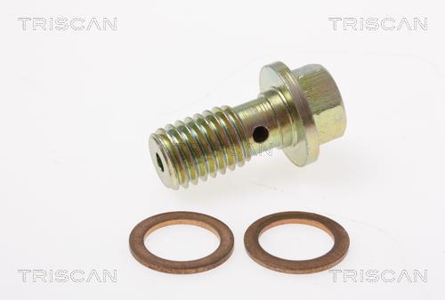 Flexible de frein (Durite de frein) Triscan A/S 8150 16308